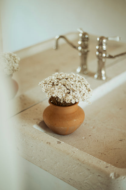 flowers dry