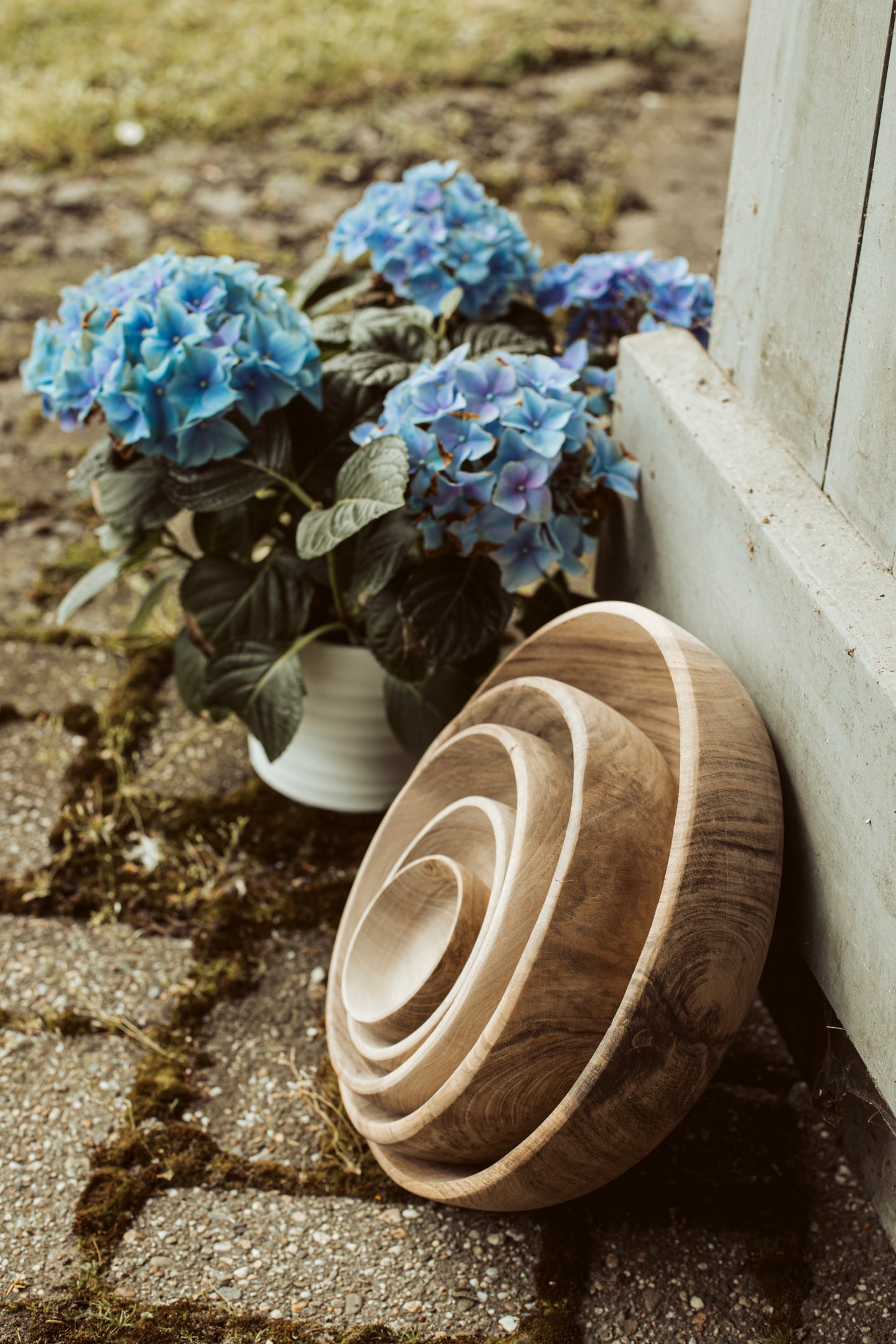 wooden bowl