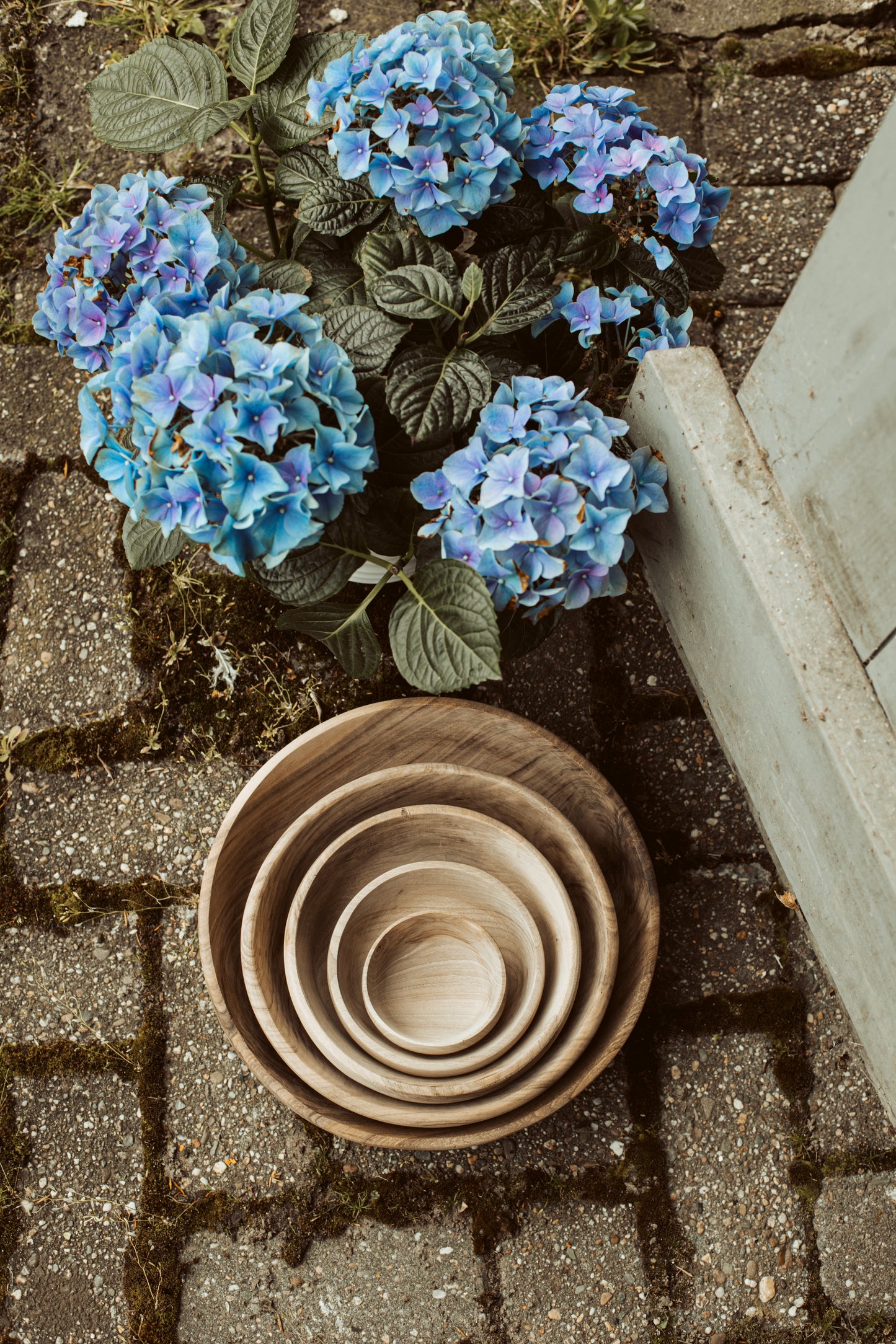 wooden bowl